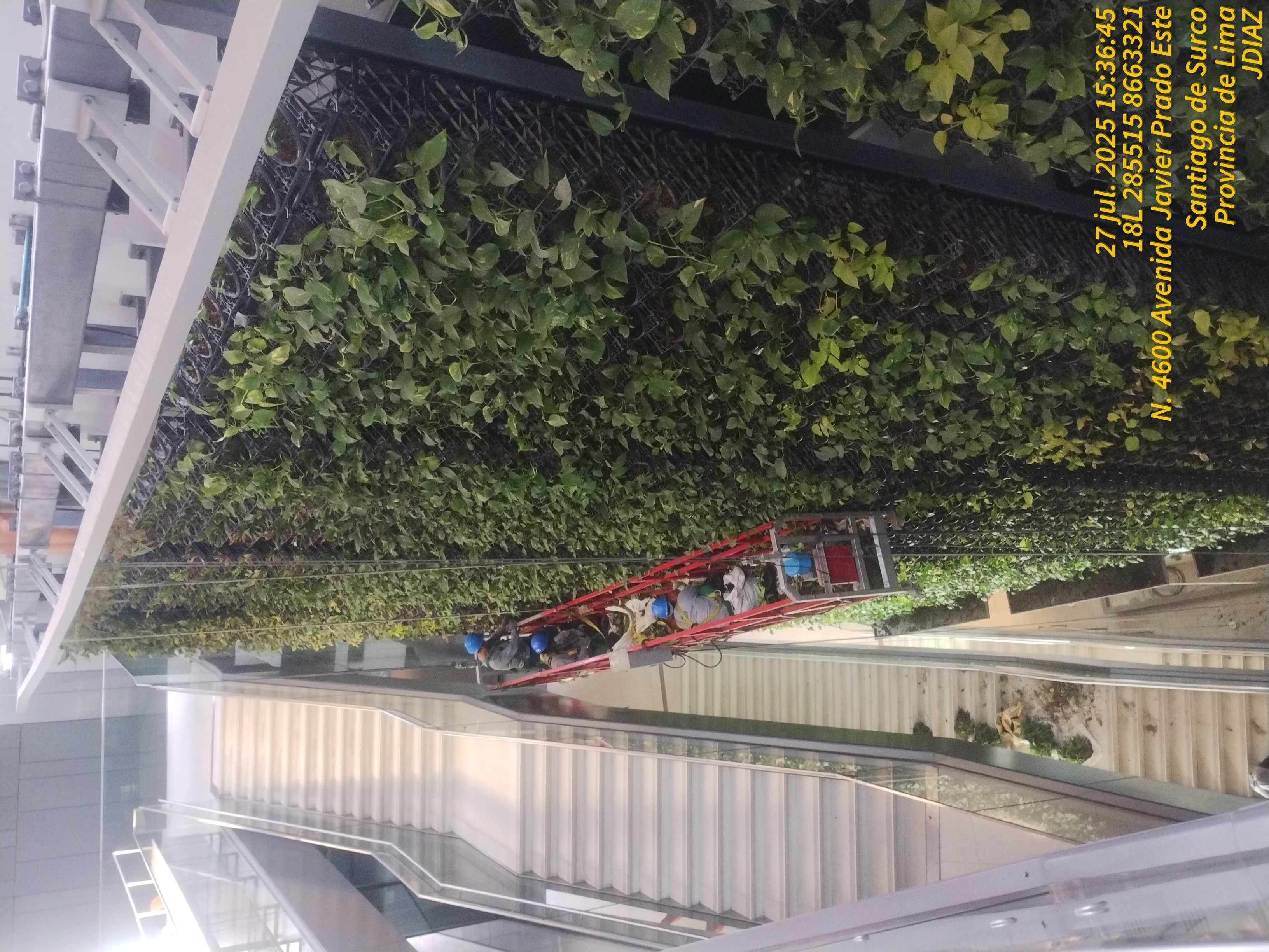 JARDINES VERTICALES